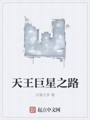 天王巨星之路 小说封面